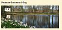 gamla bilder058